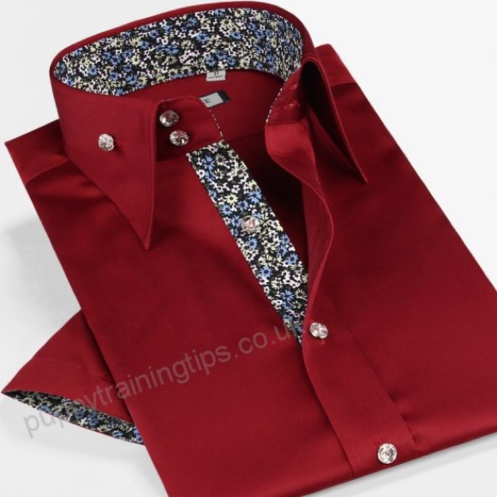 Smart Five Smart Five Dress Shirt